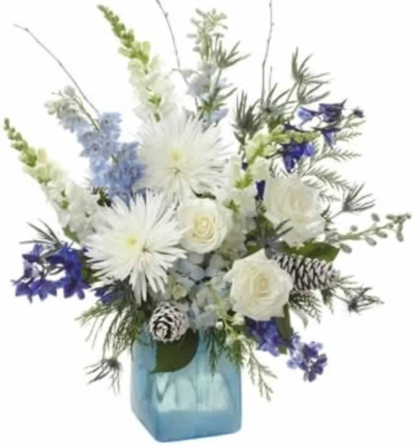 Winter frost Arrangement  -   Spectacular&quot; only begins to describe this delightful Winter frost Arrangement With enticing white roses, dreamy white daisies, Blue Delphinium White Spider and more, Snowy Spectacular is brimming with charm. Splendid and alluring, this radiant arrangement is the perfect way to welcome the winter season! 