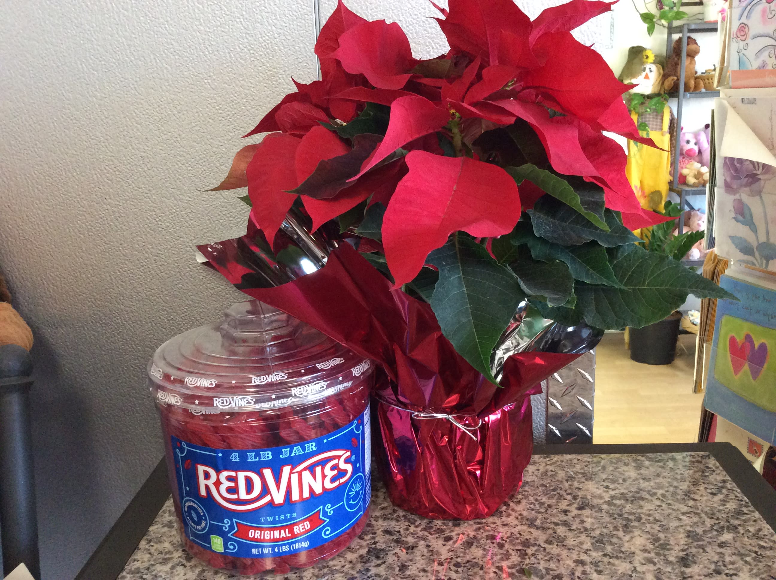 Poinsettia &amp; Vines - Red Poinsettia &amp; 4lb. tub of Red vines included!!  Approx. Height 20&quot;