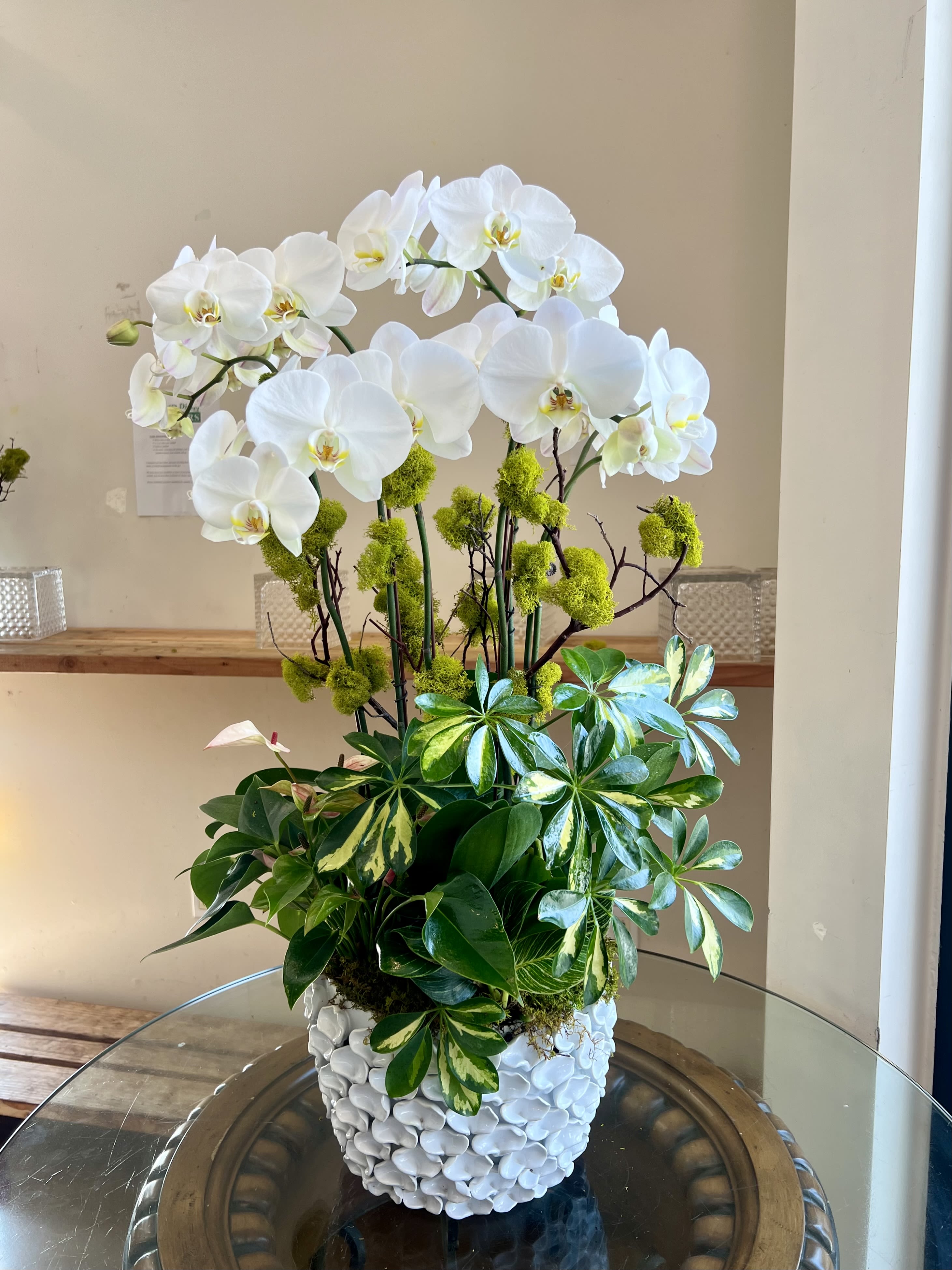 White Petal Orchid Planter  - 6 phalaenopsis orchids in our limited and unique white petal ceramic pot, accented with plants, moss, and manzanita branches.