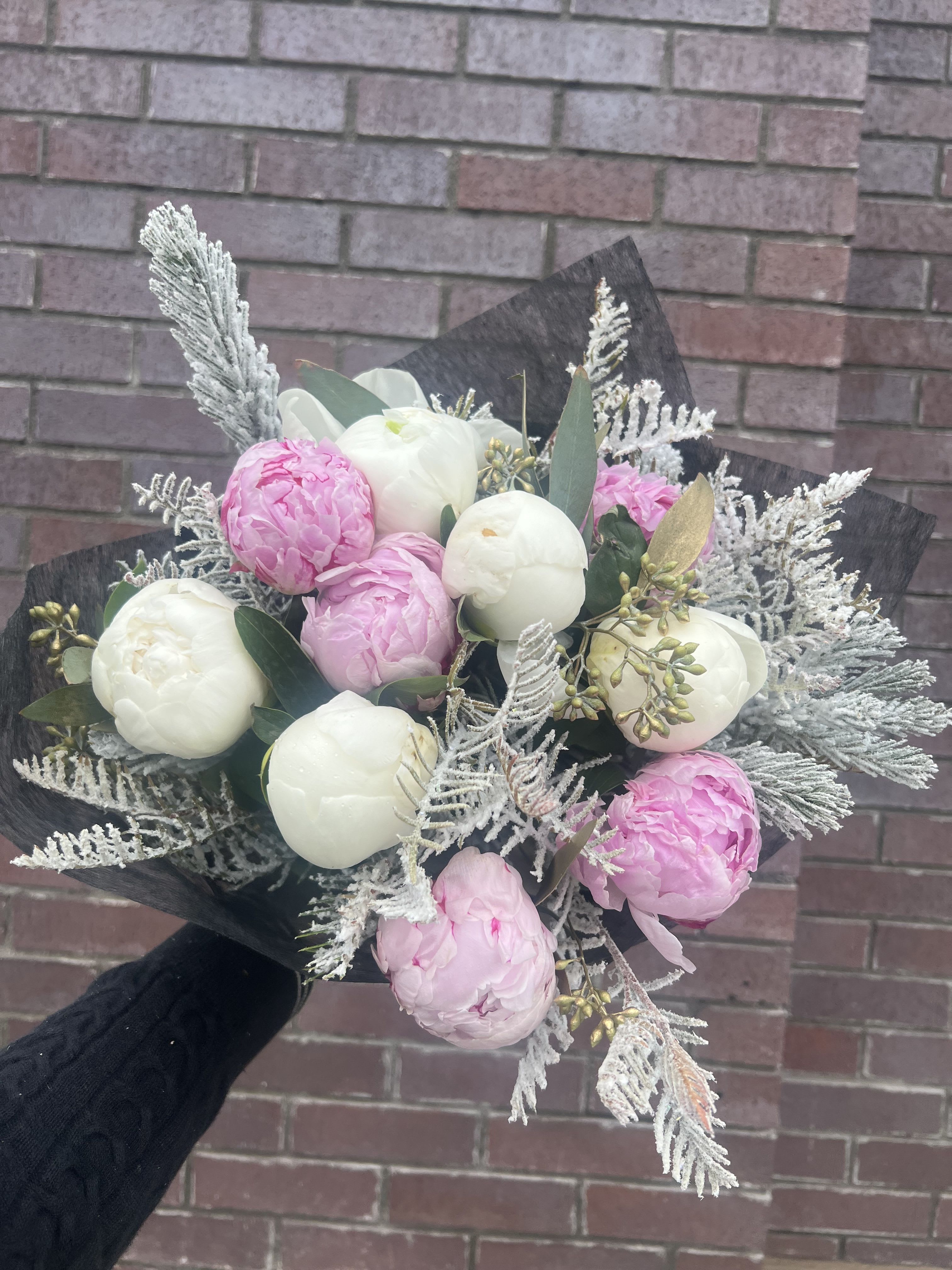 Winter Peony Bouquet  - Flowers: 10 pink and white peonies with winter greenery accents 