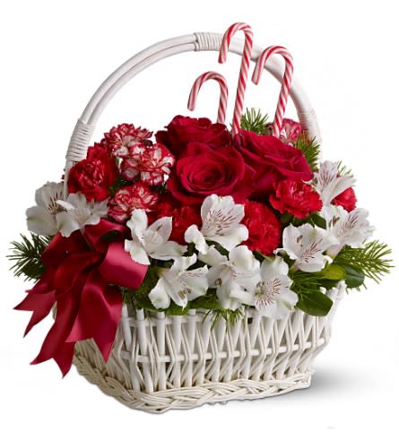 Sweet Celebration - Red roses, mixed blossoms and peppermint candy canes in a white woven basket - now that's a sweet celebration! The perfect holiday gift for friends, an aunt or grandmother, or even a favorite office mate.     A mix of fresh flowers such as red roses, peppermint carnations and white alstroemeria â accented with evergreens and candy canes â is delivered in a white handled basket and adorned with a red ribbon. Approximately 12" (W) x 14" (H) 
