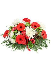 All I Want For Christmas Centerpiece - Red gerberas, white cushion mums, green hypericum berries with a fresh Christmas greens designed in a low long centerpiece with shiny ornamental balls added for a very festive centerpiece for you table or fireplace mantel.