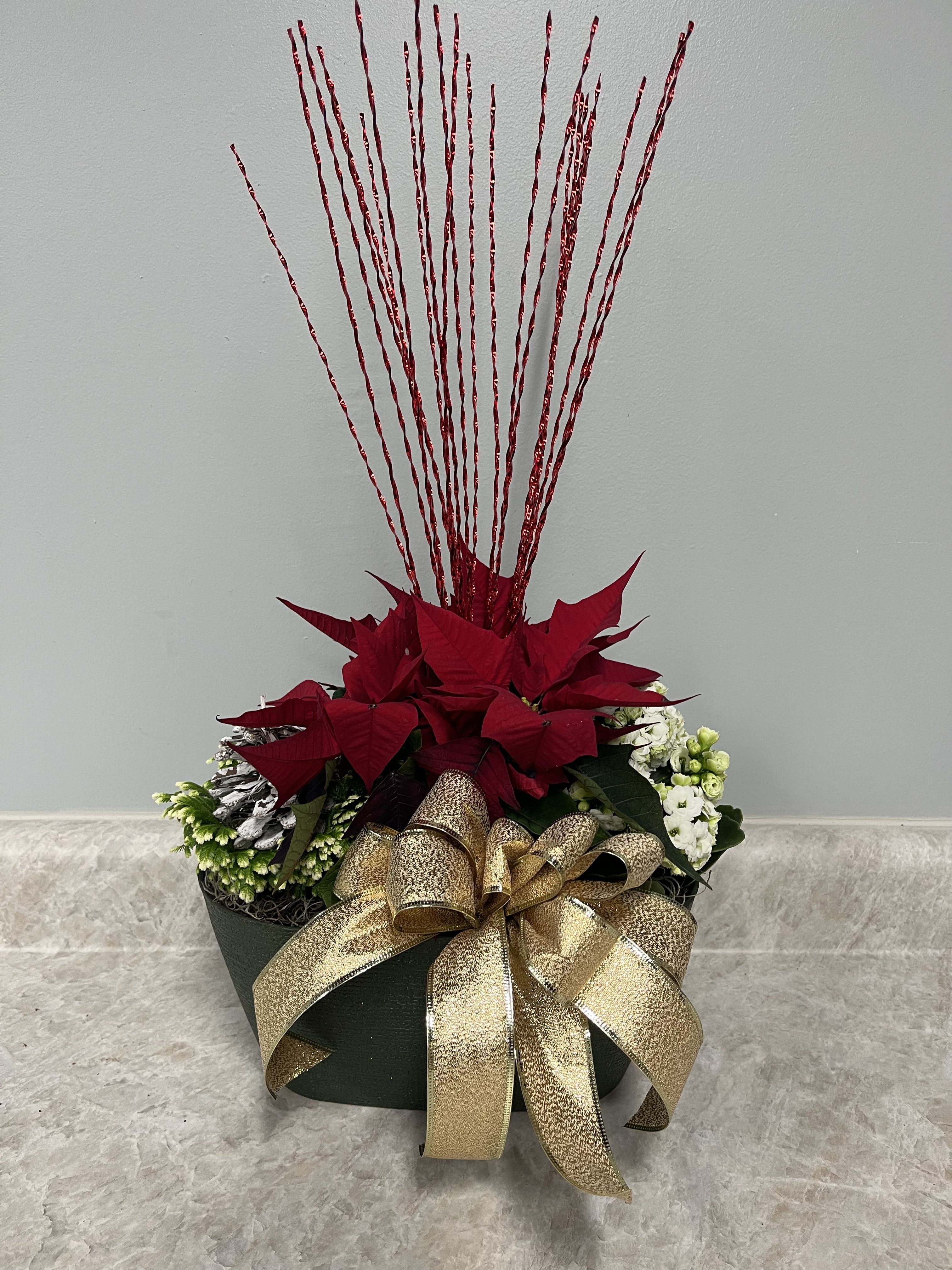 Christmas Plant Bouquet - Red, green or gold container with 4&quot; pots of poinsettia, frosty fern &amp; kalanchoe Approximately 12&quot; long &amp; 12&quot; tall