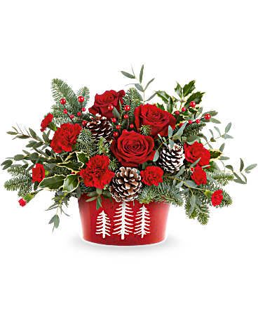 Winter Rose Celebration - Lush red roses, festive berries, pinecones, and fresh evergreens arranged in a charming holiday container.