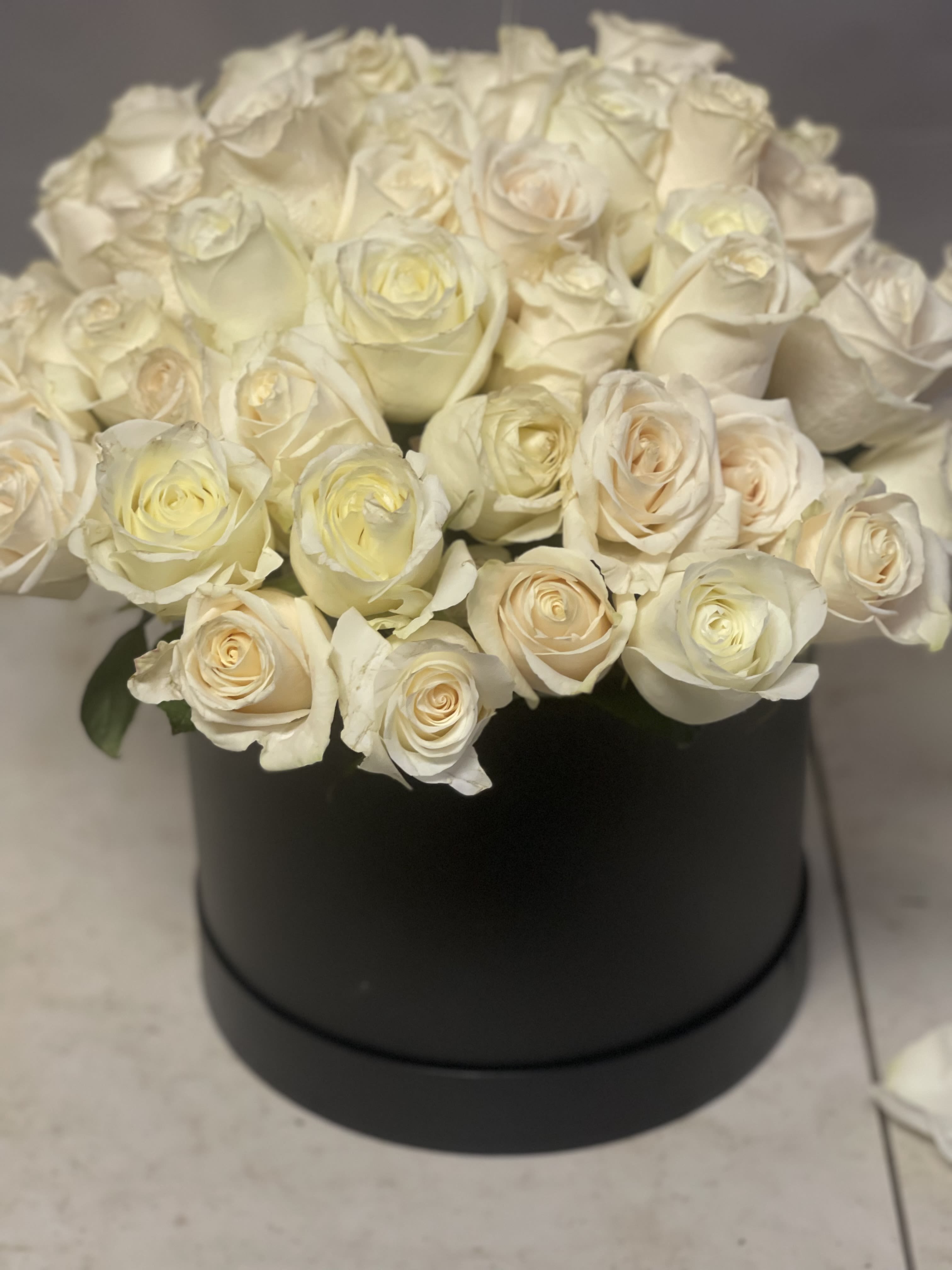 winter white roses - .