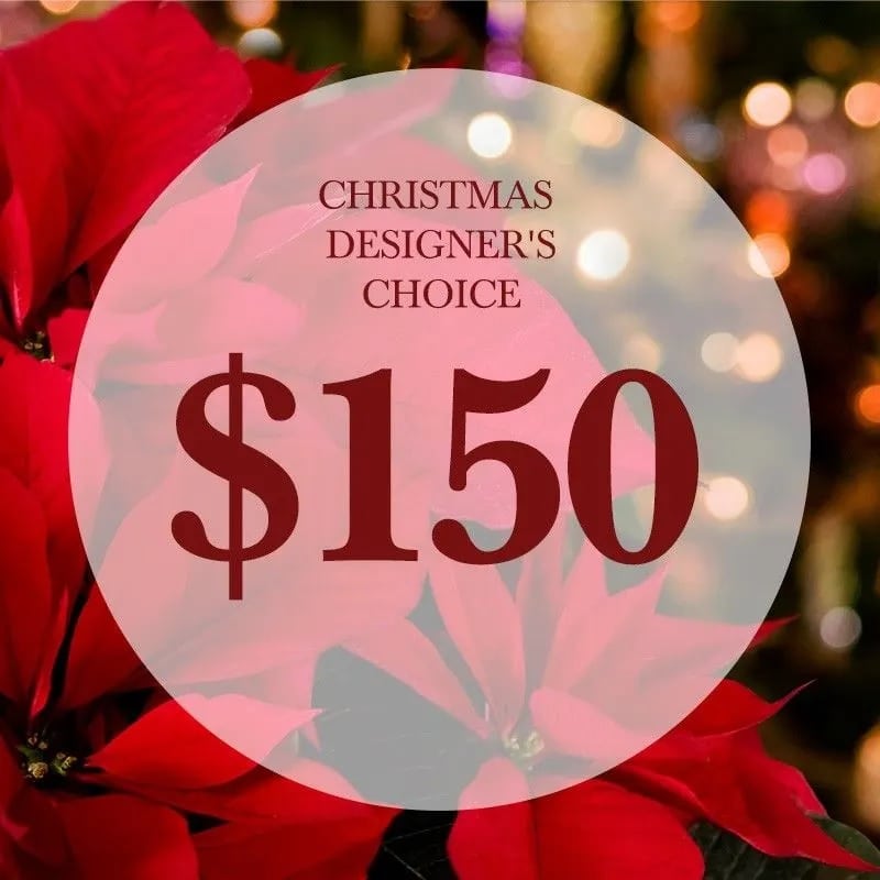 Christmas Designer's Choice $150 - Christmas Designer's Choice