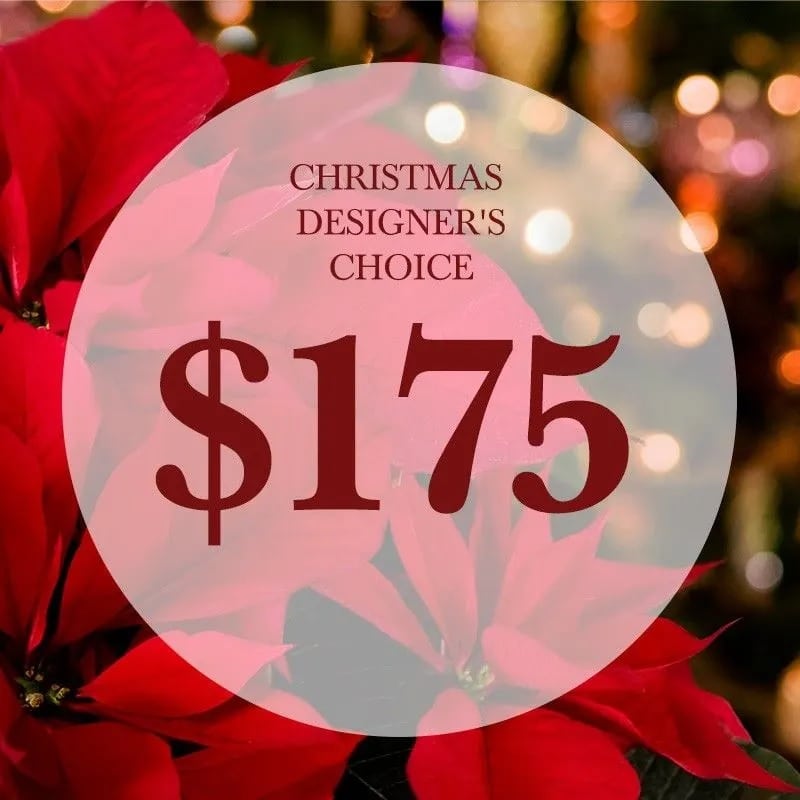 Christmas Designer's Choice $175 - Christmas Designer's Choice