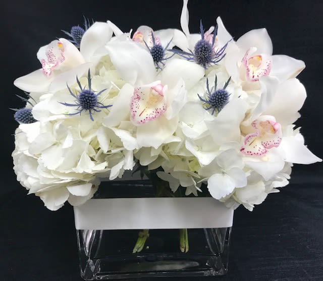 Pure GRACE - Lovely Gift with Cymbidium Orchids