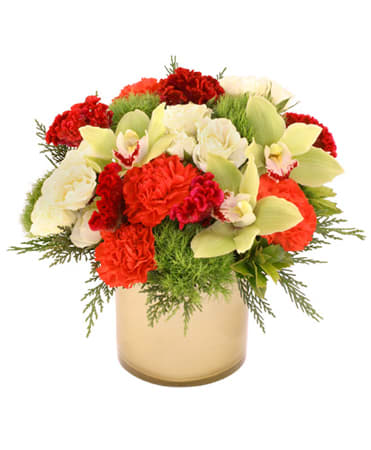 Winter Wonderment by FSN - A compact arrangement, great for the holidays.  Contains, red carnations. white spray roses, green cymbidium orchids, greens, etc..  