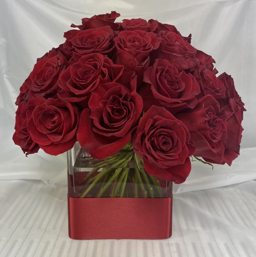 Three Dozen Red Roses by BloomNation™ - Make a bold statement with this beautifully simple design. Three Dozen Red Roses by BloomNation™ is the perfect gift for Valentine's Day, an Anniversary, or when anytime you're feeling romantic.   Arrangement Details: Three dozen red roses in a glass cylinder vase.  APPROXIMATE DIMENSIONS are 12"D X 12"H 
