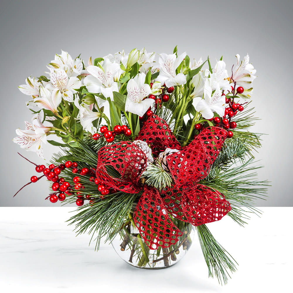 The Winter Ribbon - You crave the season's spirit, but sometimes the moment calls for a whisper of joy rather than a shout. The challenge: finding a thoughtful accent that feels designed, not generic.  This is The Winter Ribbon. A charming vignette of the holidays, captured in glass. We gather crisp white Alstroemeria, prized for their lily-like blooms, and pair them with frosted pinecones and bright ilex berries. Tied with a classic red ribbon, it is a bundle of pure nostalgia.  Sweet, simple, and enduring. Placed on a bedside table, a desk, or sent as a thank-you, it brings a tidy, festive warmth to any corner of the room. Every bloom tells a story.  Perfect for: Naples holiday flower delivery, cheerful Christmas accents, long-lasting floral gifts, and festive desktop decor.  Why choose Alstroemeria for holiday arrangements? They are the unsung heroes of the holiday season. Alstroemeria (or Peruvian Lilies) offer the delicate beauty of a lily with incredible resilience. They are among the longest-lasting cut flowers, ensuring this charming gift stays fresh and festive well into the New Year.  We are now accepting reservations for your holiday gatherings in Naples, Marco Island, and Bonita Springs. We strongly encourage securing your delivery date now, as our calendar fills quickly.