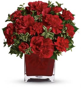 Teleflora's Precious Love - Simply speaking, red means romance. Send this bouquet of vibrant red carnations to your sweetheart and you'll convey passion, energy and desire. Remember also that you're sending not one gift but two: gorgeous flowers and a colorful cube vase.  A mix of red carnations and red miniature carnations is delivered in a red glass Teleflora cube vase.  Approximately 10 1/2" W x 11" H  Orientation: One-Sided  As Shown : T05N431A Deluxe : T05N431B Premium : T05N431C
