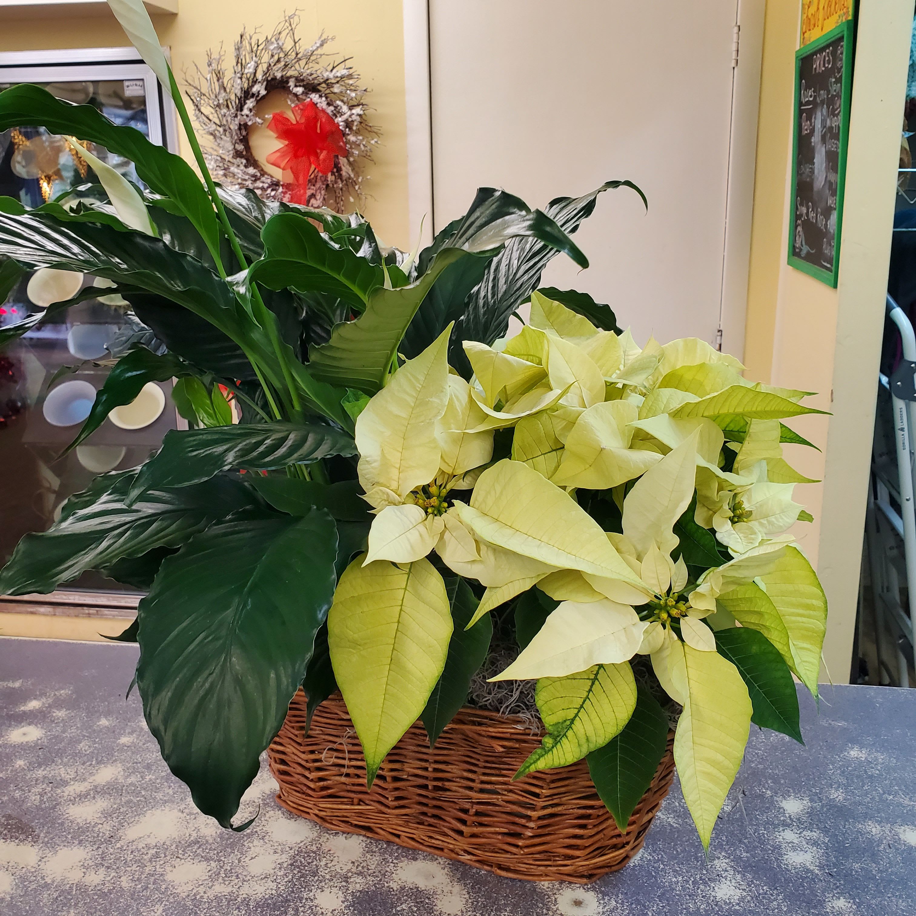 Christmas Combo Basket #2 - Oblong  double willow basket filled with half white poinsettia plant and half peace llily plant accented with winter bow.