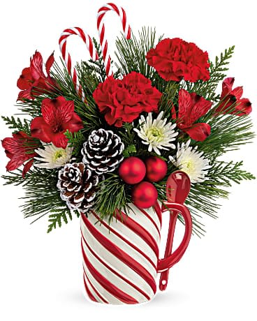 Teleflora's Send A Hug Sweet Stripes Bouquet - Cozy up to Christmas with this classic holiday bouquet, lovingly arranged in a hand-painted, food-safe ceramic mug with matching spoon for years of sipping pleasure! Red carnations, red alstroemeria and white cushion spray chrysanthemums are arranged with white pine and cedar. Delivered in a Send a Hug® Sweet Stripes Mug.