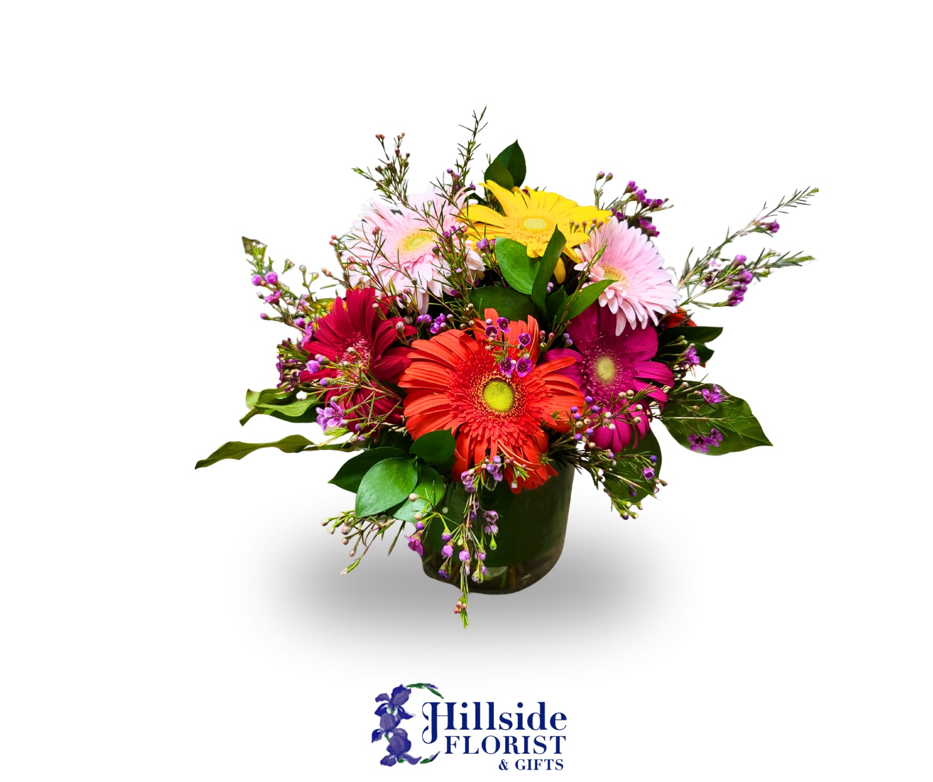 Big Daisy Energy  - This fresh arrangement is a bubble bowl filled with Gerbera Daisies and filler. These vibrant and cheery gerbs are sure to brighten someone's spirits. Mixed together in a beautiful bubble bowl, this bouquet is perfect for any occasion.   LOCAL DELIVERY ONLY  Local Delivery Only 