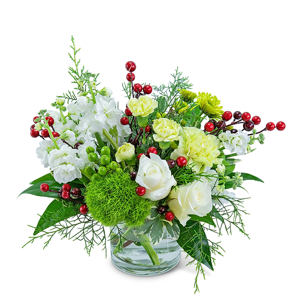 Sparkling Berry - Add a little sparkle to a winter day with this cozy arrangement! Roses, carnations, mums, green ball dianthus, green and red berries, evergreen, and a variety of foliage are displayed in a clear container. Sparkling Berry is the perfect way to add a touch of warmth to any home or office.