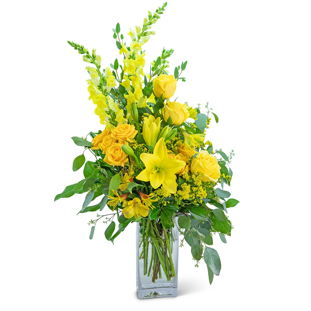Sundazed - Bring a little sunshine into your day! This sun bright arrangement features snapdragons, roses, alstroemeria, Asiatic lilies, and solidago surrounded by a variety of foliage in a tall glass vase. Whether celebrating a birthday, new baby, or retirement, Sundazed will add just the right touch of warmth. 