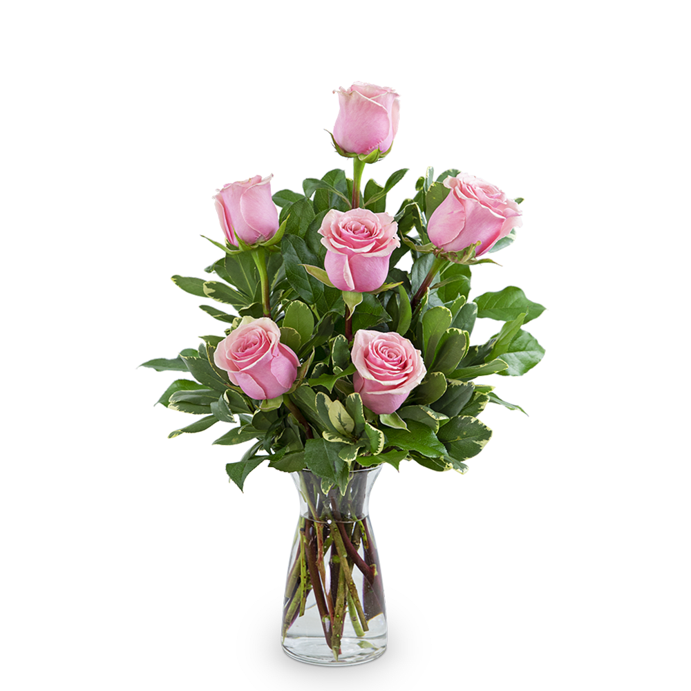 Pink Roses (6) - Everyone is crazy about our pink roses! Pink roses symbolize femininity, elegance, grace, and sweetness. Send pink roses to celebrate a special occasion, convey gratitude, or to say thank you. This half dozen pink rose arrangement, along with the perfect greens, will be sure to make someone's day very special.