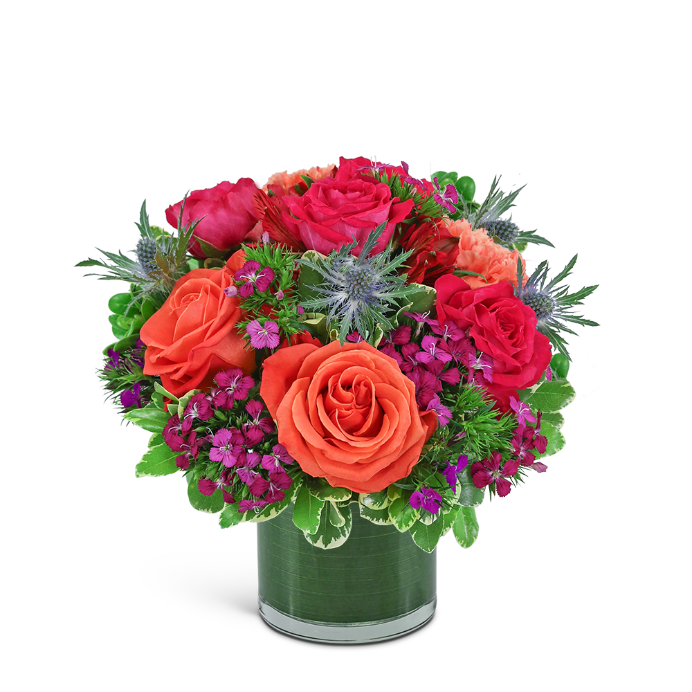 Bellini Punch - This bright and cheery design packs a punch with its lush Roses, Carnations, Alstroemeria, and premium foliage in a leaf-lined vase. Our Bellini Punch arrangement will brighten someone's day and is made from the freshest flowers available. It's the perfect choice for a housewarming or congratulatory gift. The flowers and container may vary based on availability.