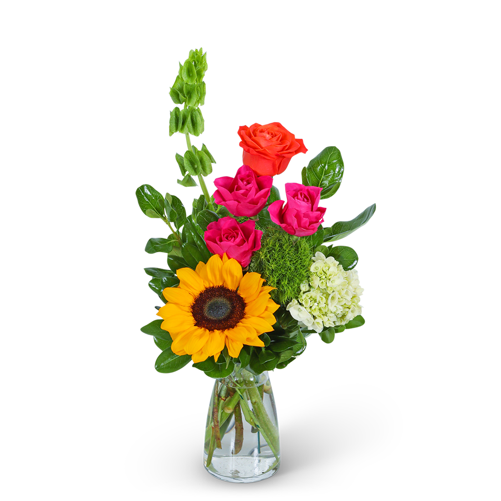 Vibrant Vibe - Immerse yourself in a kaleidoscope of vivid blooms with our Vibrant Vibe flower design. This captivating arrangement bursts with bold, bright colors from the rainbow, featuring sunflowers, roses, hydrangeas, bells of Ireland, green trick dianthus, and various foliage. Whether it's a birthday celebration or any special event that calls for a burst of color, the Vibrant Vibe flower design is the perfect choice. It embodies the essence of joy, positivity, and celebration, making it a delightful gift for your loved ones or a beautiful addition to your own space.