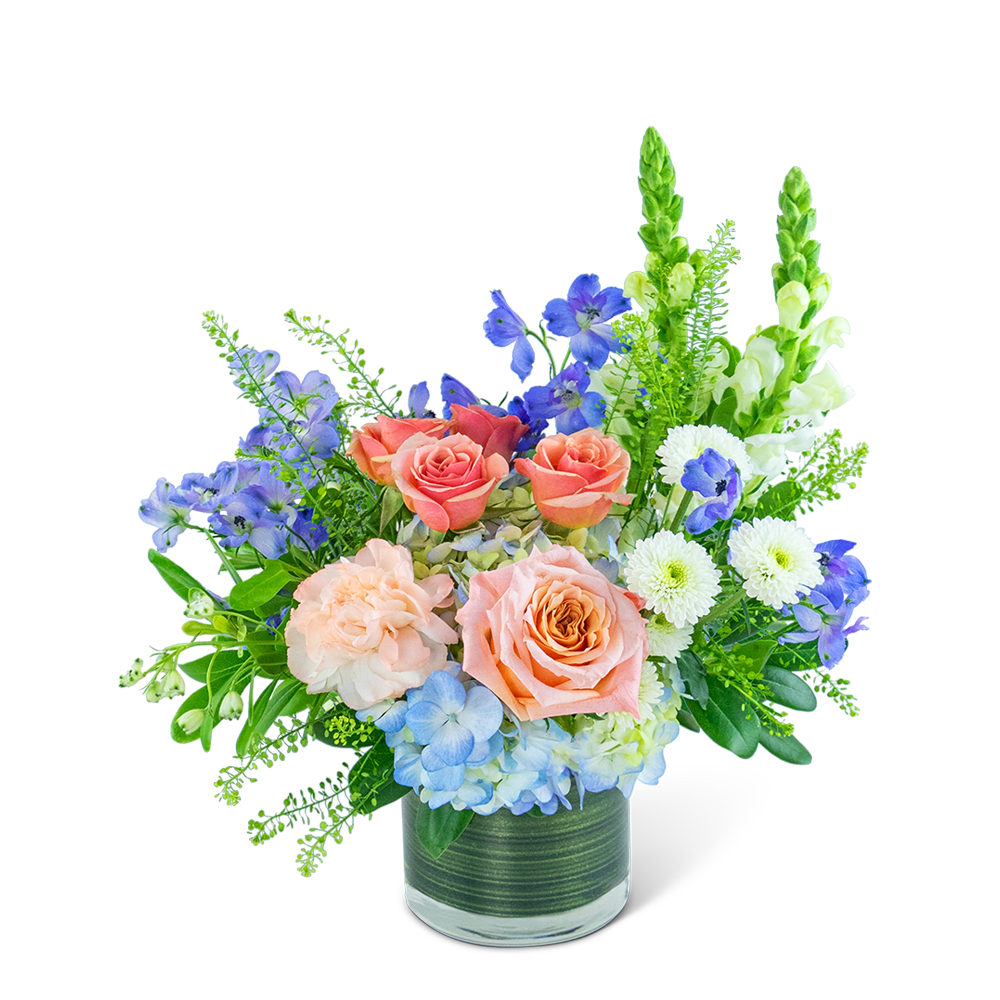 Enchanted Juliette - Experience the enchanting allure of the Enchanted Juliette flower design. This breathtaking arrangement of peach and blue blossoms features a delightful combination of Roses, Delphinium, Carnations, Mums, Hydrangea, Snapdragons, and premium foliage. Expertly arranged in a leaf-lined cylinder vase, this design exudes elegance and sophistication, making it a perfect gift for any occasion. Whether you're celebrating a birthday, or an anniversary, or want to brighten someone's day, this stunning floral creation is a perfect choice.