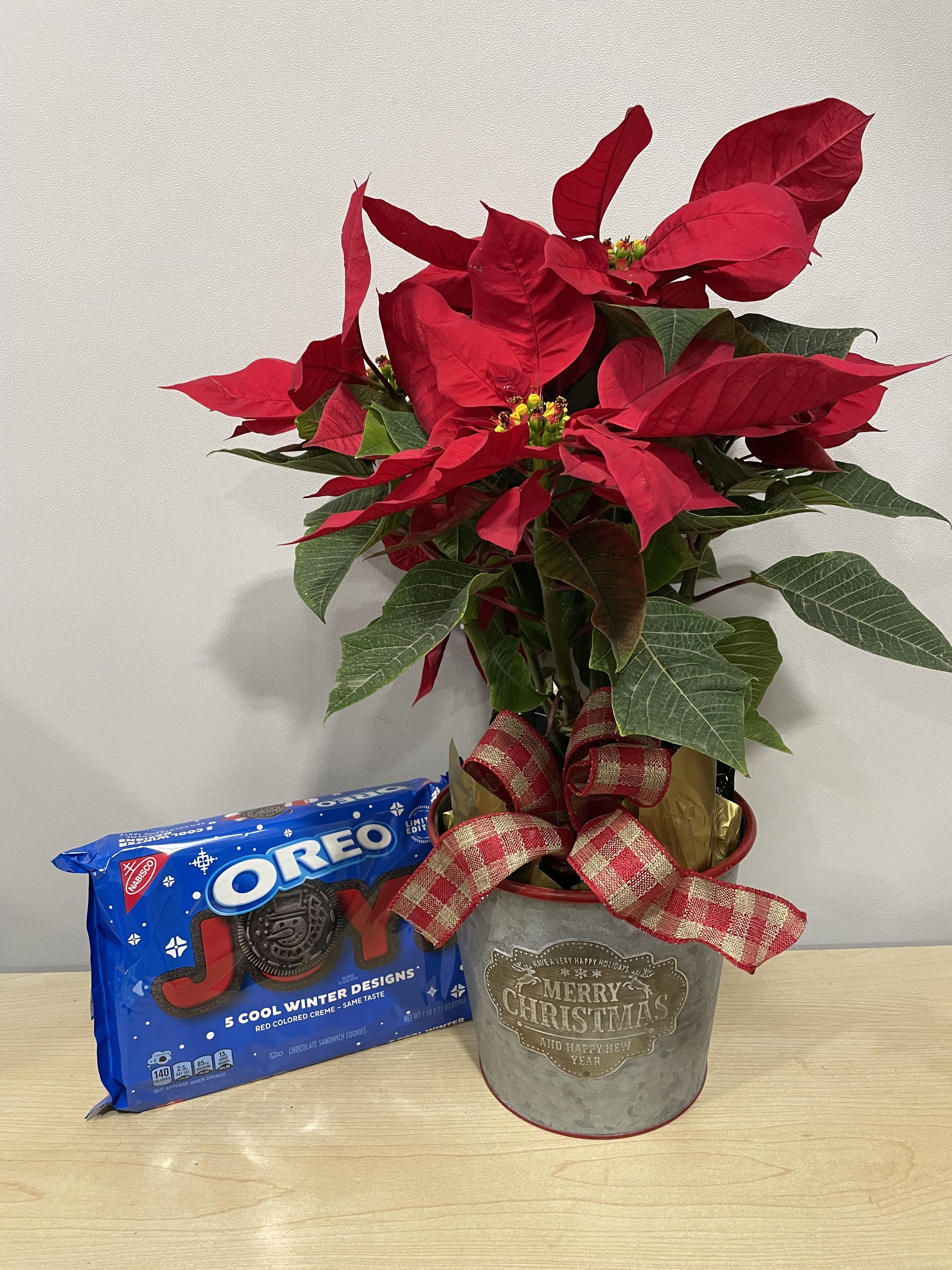 Poinsettia &amp; Joy Cookies - As shown 