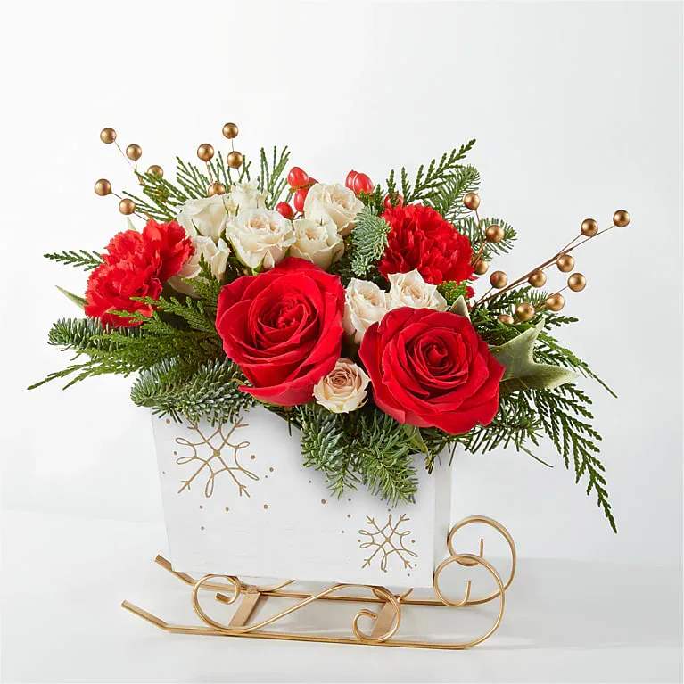 Gone Sledding Bouquet - Gone Sledding Bouquet Make the season golden by sending our Gone Sledding Bouquet. This bouquet makes a fun and whimsical centerpiece, host gift, or simply a wintry accent in any room. Details The Premium Bouquet is approximately 12&quot;H x 13&quot;W. Designed by florists, ready to display. For long–lasting blooms, add water daily. Pet Safety Precautions: This bouquet or plant may include flowers and foliage that are known to be toxic to pets. To keep them safe, be sure to keep this arrangement out of your pet's reach. Bloom Details Carnation Rose Hypericum Berry Christmas Greens Holly