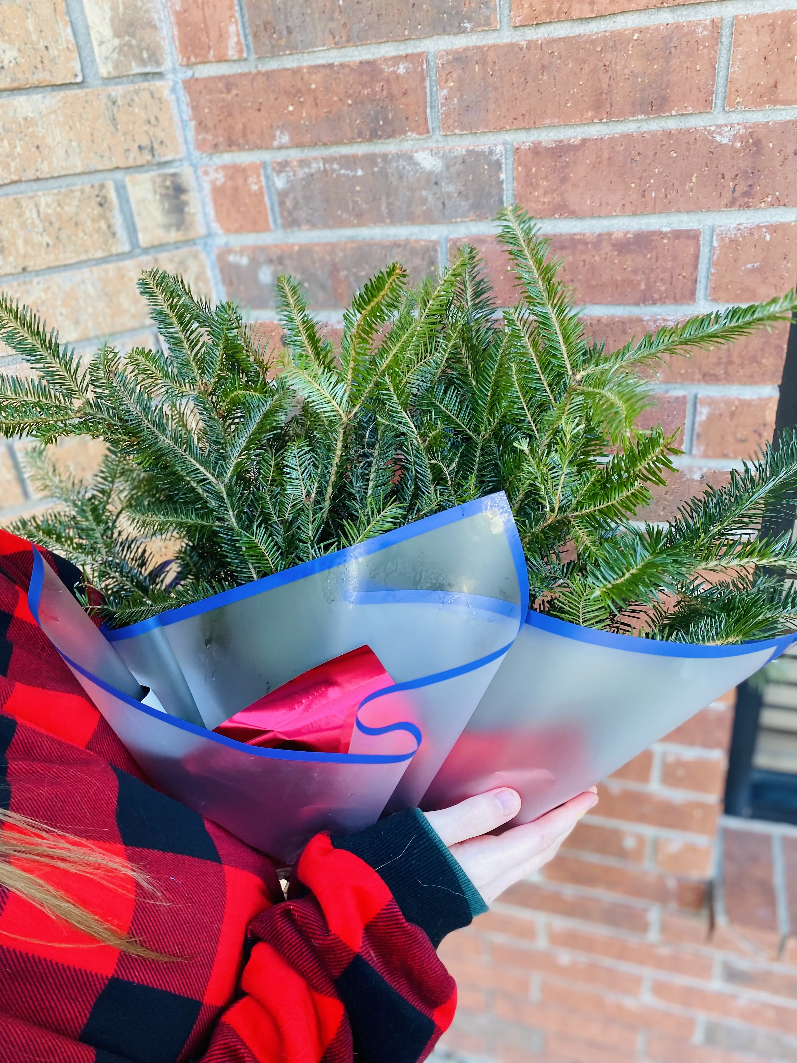 Simple Christmas Greens  - Bring the fresh, festive scent of the season into your home with our Christmas Greens Bunch. This lush bundle features a beautiful mix of premium evergreens—such as fragrant cedar, pine, and fir—hand-tied to showcase their natural winter charm. Perfect for DIY decorating, this greenery bunch can be used to craft your own arrangements, enhance your holiday centerpieces, or simply display in a vase for a classic Christmas touch.  Full of texture, aroma, and timeless beauty, it’s the ideal way to infuse any space with the magic of the holidays. 