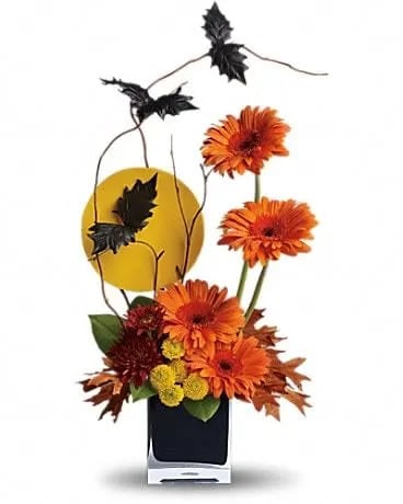  Boo-tiful Bats - Bats off to you for showing your Halloween spirit. With flowers, bats and a glowing full moon, this arrangement is a scream! Bright orange gerberas, yellow button spray chrysanthemums, red cushion spray chrysanthemums, birch, willow, rust oak leaves and bats arrive in a black cube vase. Order now and we'll fly it right over. 
