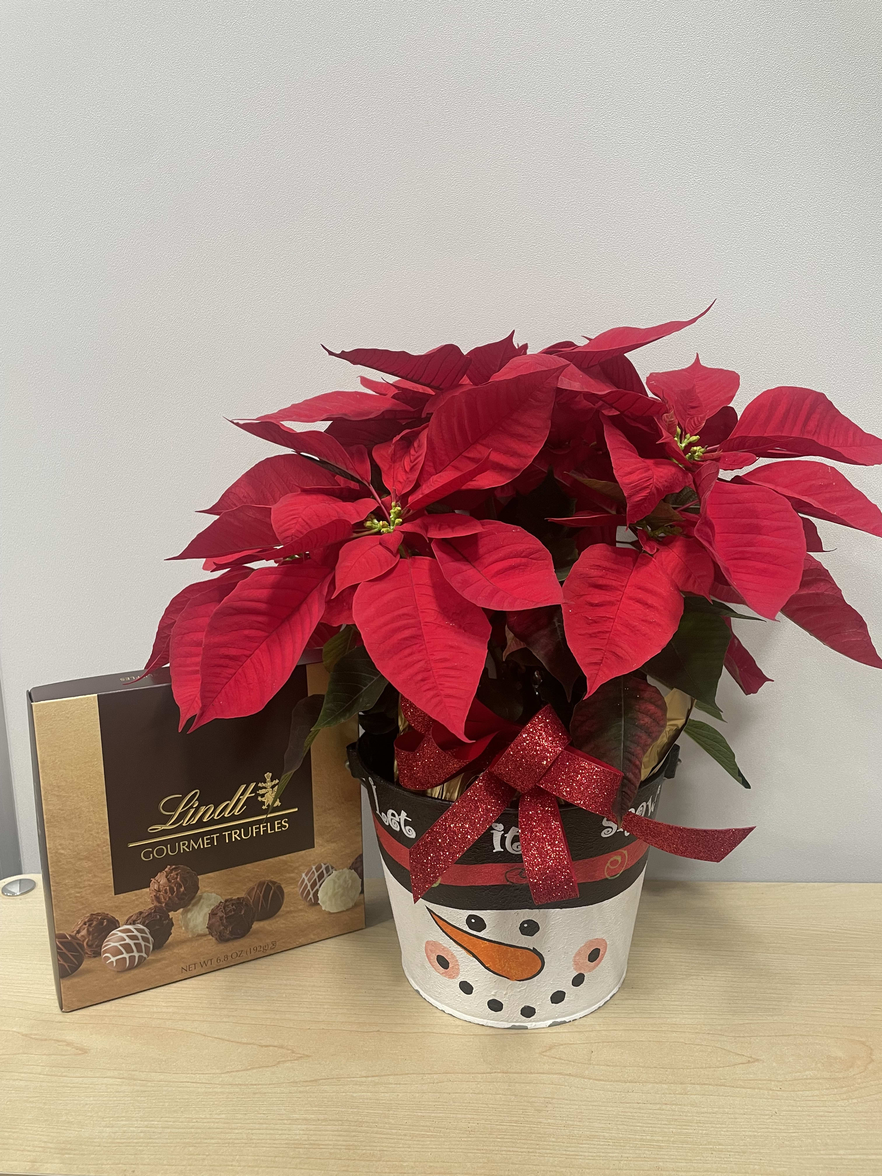 Let it Snow Poinsettia &amp; Truffles  - As shown 