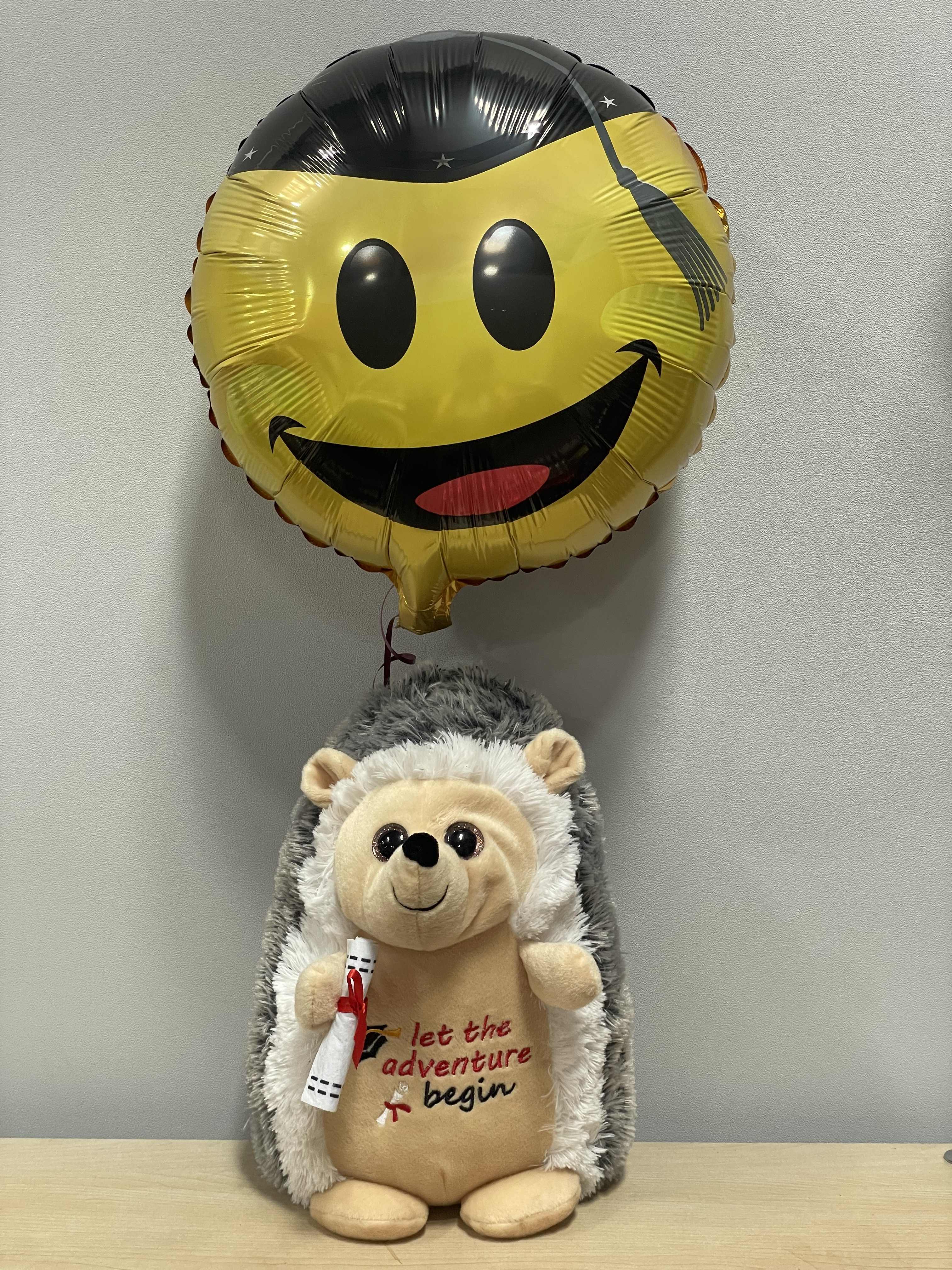 Grad Hedgehog - As shown 