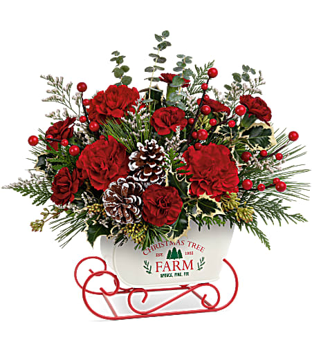 Snow What Fun Arrangement - All aboard for Christmas fun! This metal "Christmas Tree Farm" sled joyfully delivers a sleigh full of holiday blooms to brighten any winter's day. Approximately 16 inches wide and 15 inches tall for the Standard size.