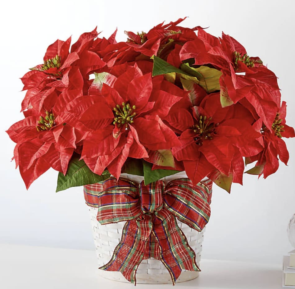 Happiest Holidays Poinsettia - Poinsettias make any home feel ready for the holidays with their classic, bold red flowers and green leaves.  Deluxe Poinsettia is approx. 8" in diameter. Pet Safety Precautions: This bouquet or plant may include flowers and foliage that are known to be toxic to pets. To keep them safe, be sure to keep this arrangement out of your pet's reach.