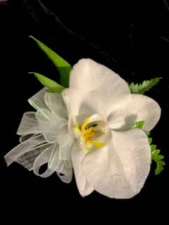 Mother's Day Orchid corsage - Phalaenopsis orchid - locally grown - simply elegant corsage - neutral A longstanding tradition in the South is that we wear flowers to honor our mothers. If she has crossed over, you should wear white. If she is still here with us red or pink.