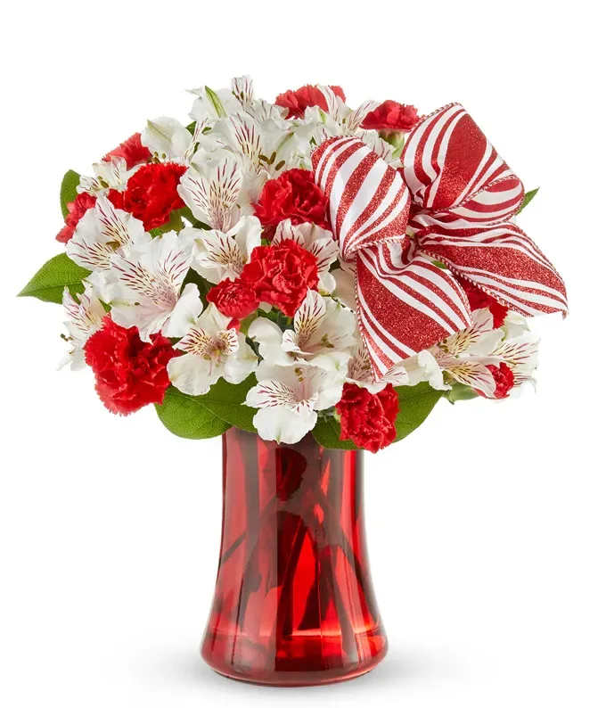 Sweet Peppermint Bouquet - Like peppermint itself, this vibrant floral arrangement is bright, inviting and simply irresistible. Alstroemeria is combined with mixed blooms in a lovely red gathering vase. Adding the perfect &quot;wow&quot; factor is an unmistakably peppermint-colored red &amp; white ribbon.  Includes: • Red Miniature Carnations • White Alstroemeria • Red &amp; White Bow • Red Gathering Vase