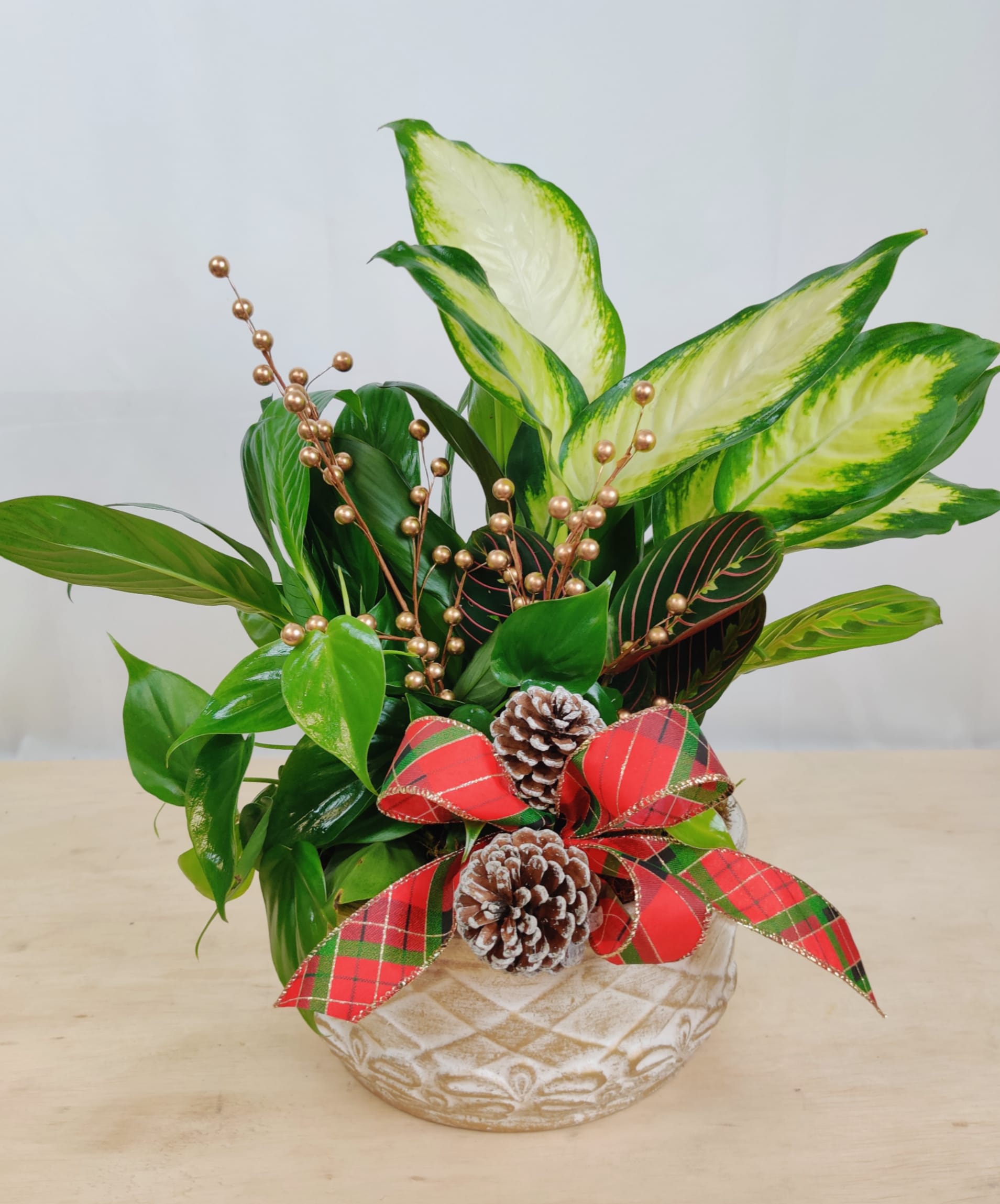Holiday Dish Garden - Assorted live assorted green plant. Planted together with holiday adornments. 