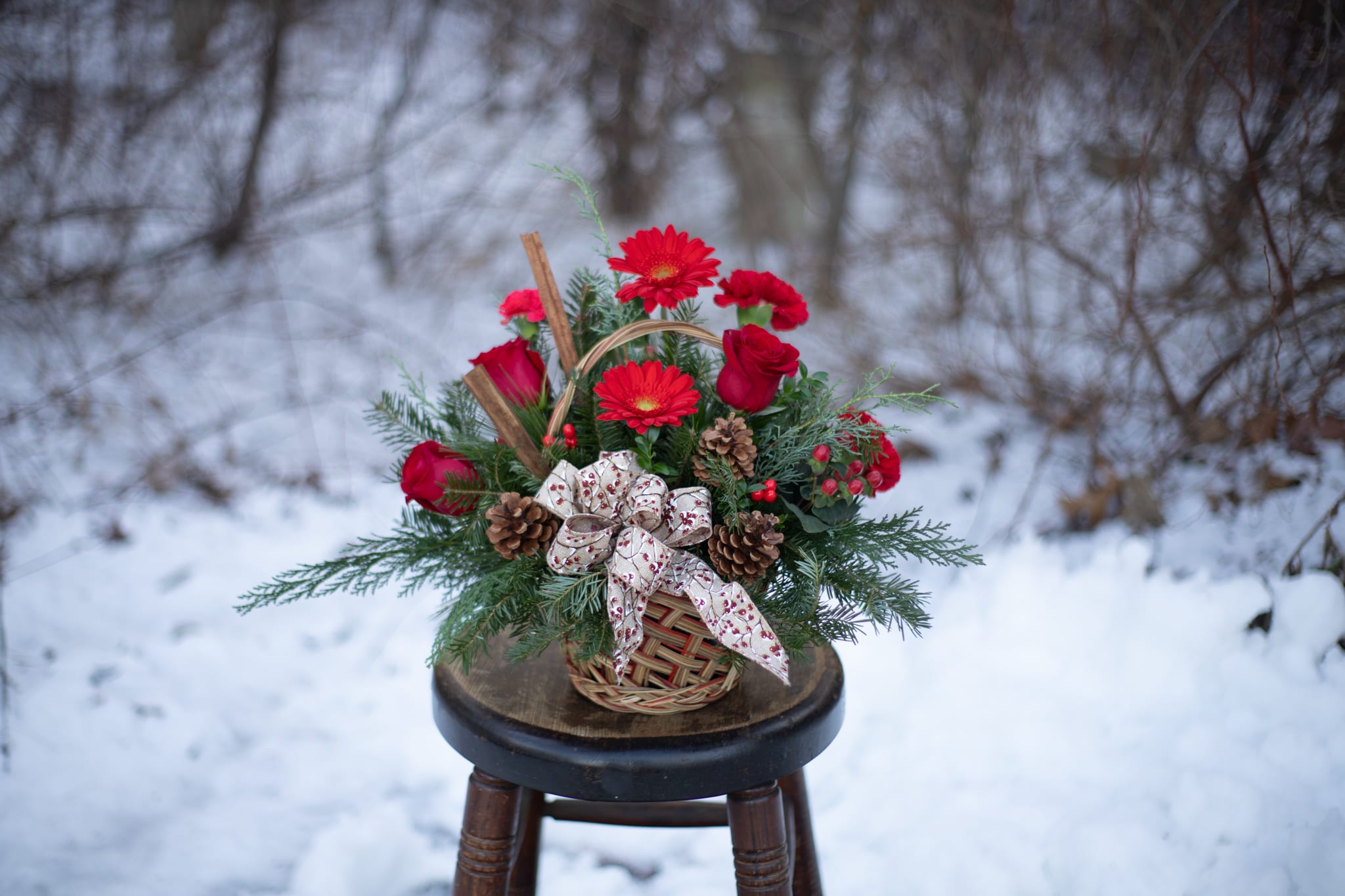 Berries and Spice - Berries and spice and everything nice make this arrangement a wonderful holiday gift. Festive red roses, gerberas, carnations and berries are arranged to look their holiday best when mixed with cinnamon sticks and pine cones in a lovely wicker basket. It's a great way to get a handle on your holiday gift list! Some variations may include white flowers. 