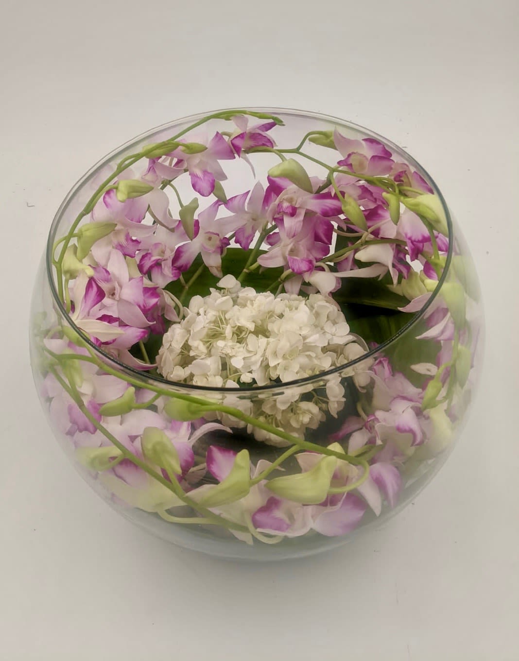 Pure Elegance  - Elevate any room with this high-end orchid bowl designed to impress. Pure Elegance showcases elegant orchid stems is a glass bowl and a refined finish with hydrangeas. This arrangement makes for a standout decor piece or a stunning gift. 
