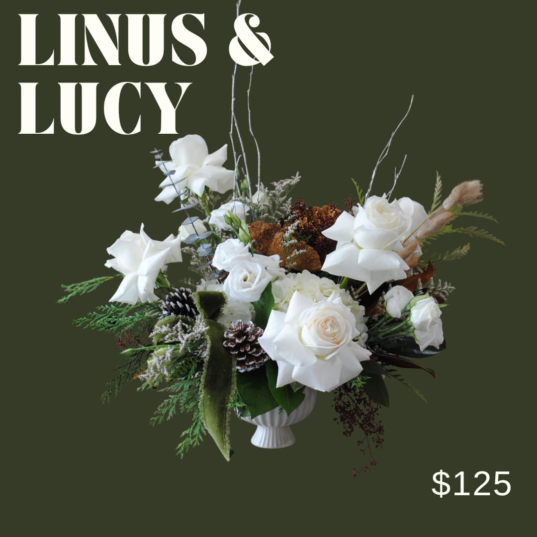 Linus &amp; Lucy- White and green holiday arrangement  - Linus &amp; Lucy is a modern arrangement artfully designed in ceramic pot using white toned florals, and winter accents and greens!!  *Image shown is valued at $125  *Due to holiday demand and supplier availability, substitutions will be made to achieve a look as similar as possible to the photo