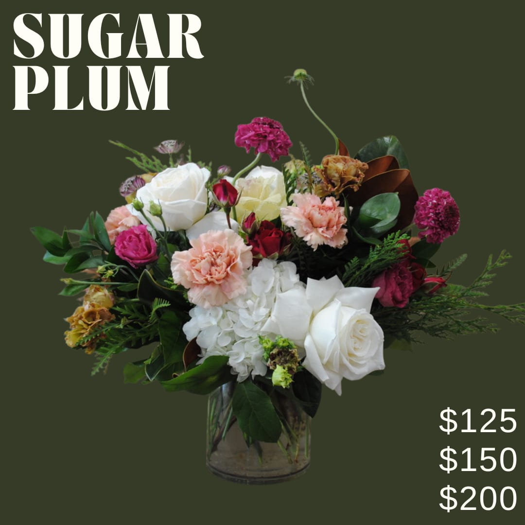 Sugar Plum  - Silent Night is a low and lush modern arrangement artfully designed in a glass cylinder using white, raspberry, and neutral florals, and winter accents and greens!!  *Image shown is valued at $150 *The $125 and $200 price points will be made with more fewer or flowers to match the value using blooms in the same color palette *Due to holiday demand and supplier availability, substitutions will be made to achieve a look as similar as possible to the photo