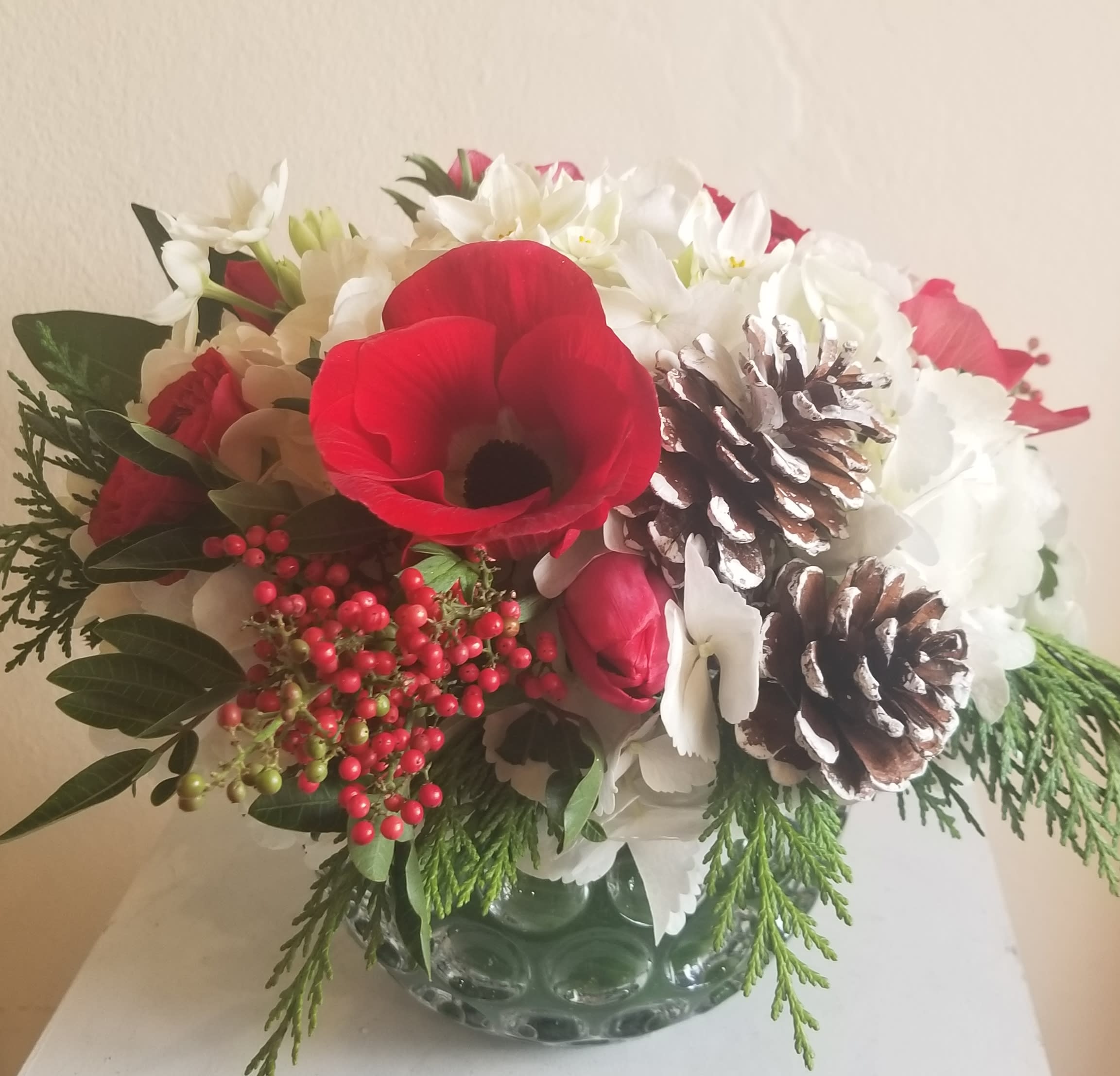 Christmas Carol - White hydrangea, red accent flowers (red anemones upon availability) and decorative pine cones in a cylinder or square vessel.
