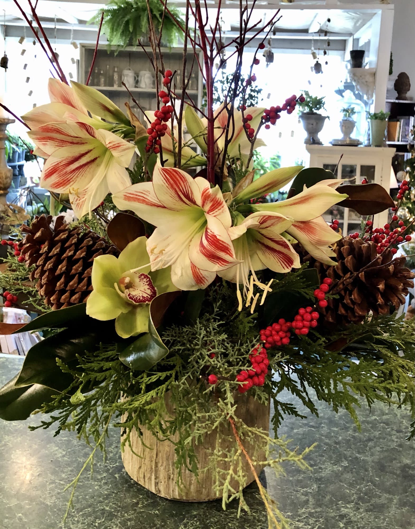 Woodland Christmas - Stunning Amaryllis and Green Trick crown a mix of specialty Xmas greens, magnolia leaves, berries, and pinecones are arranged in a wood grained pot. Perfect for any gift occasion in December.