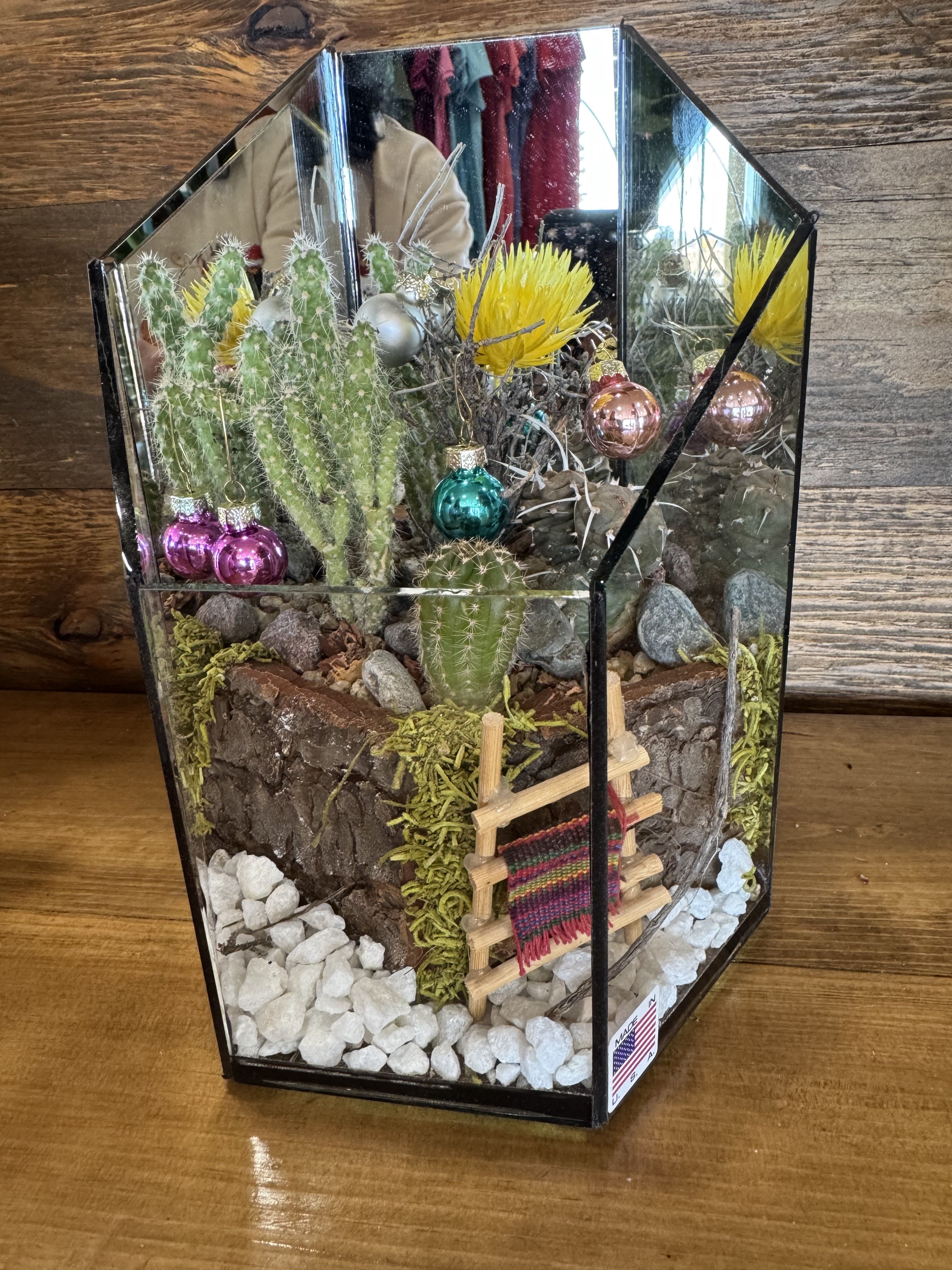 Christmas In The Desert  - Beautiful Arizona cactus garden. Easy to care for cactus terrarium. 