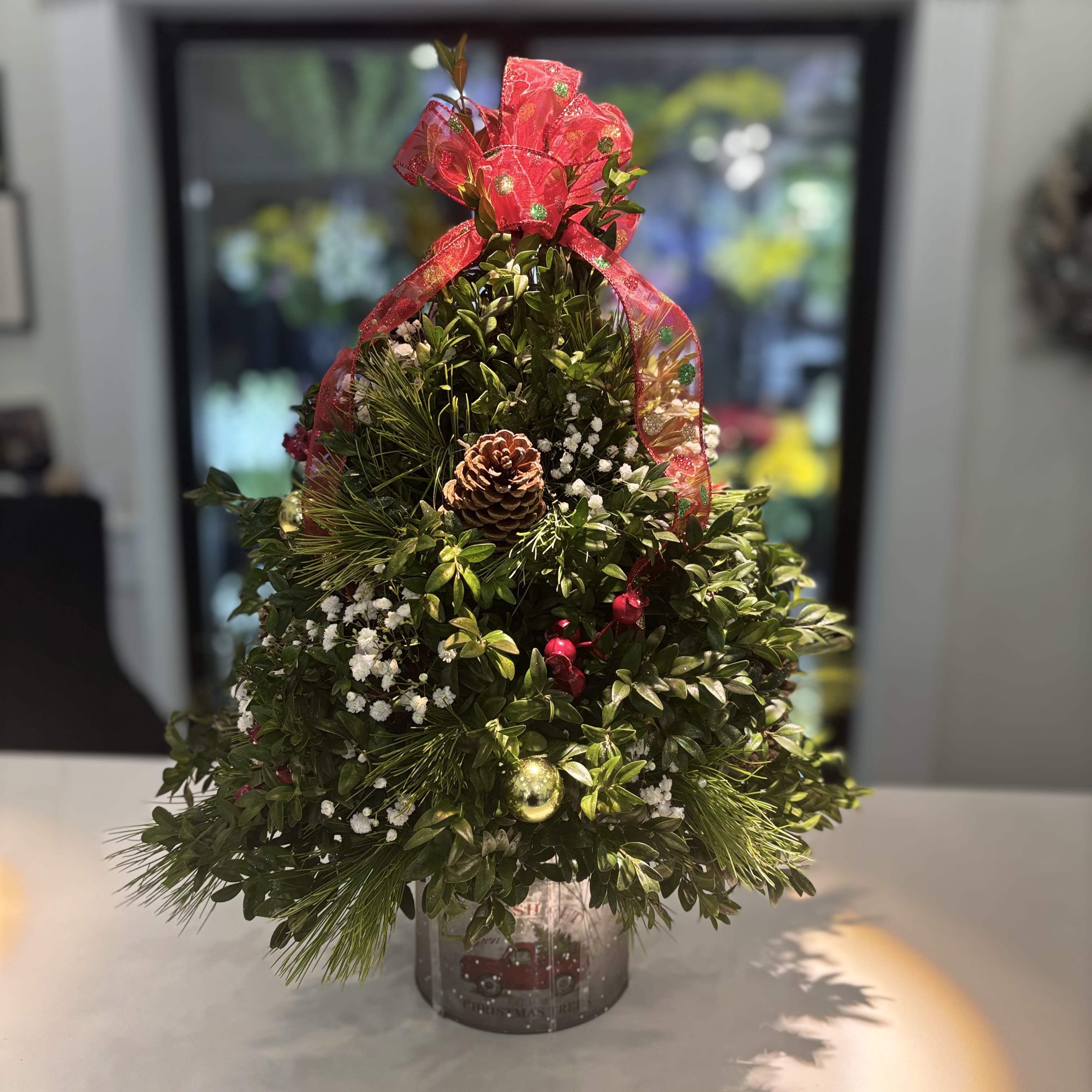 Boxwood Tree - Beautiful Festive Boxwood Tree 