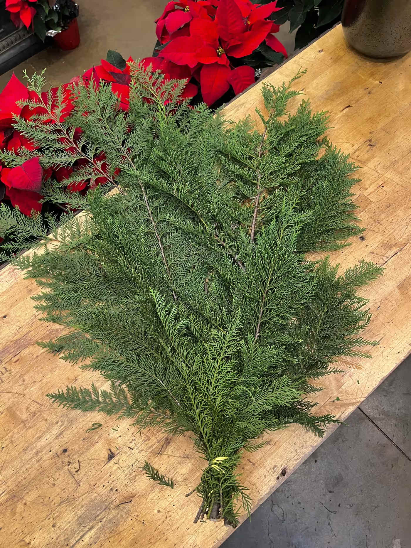 Cedar Greenery - Growers Bunch Volume based Approximate volume as pictured Roughly 6-8 stems