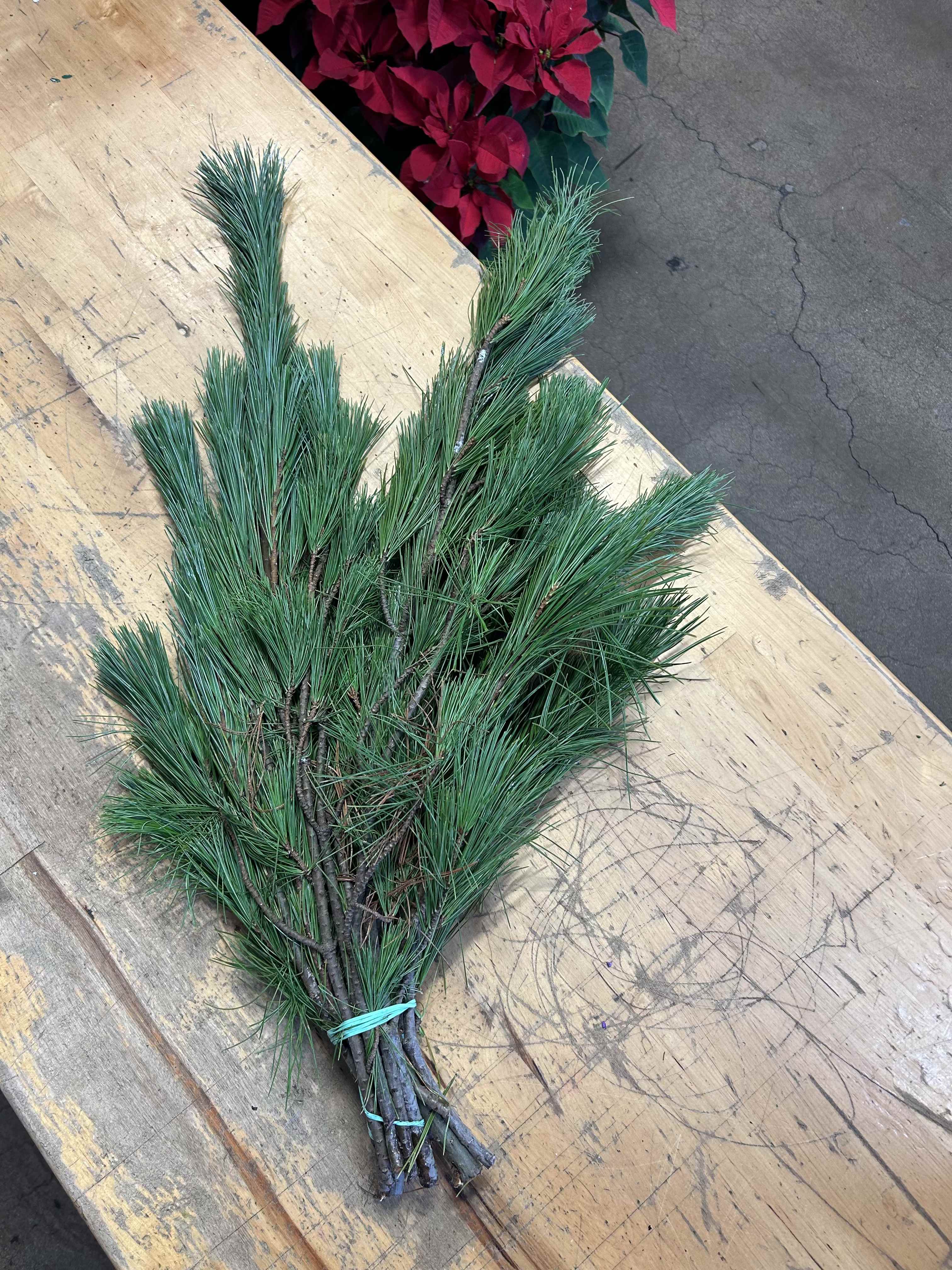 Pine Greenery - Growers Bunch Volume based Approximate volume as pictured Roughly 8-10 stems