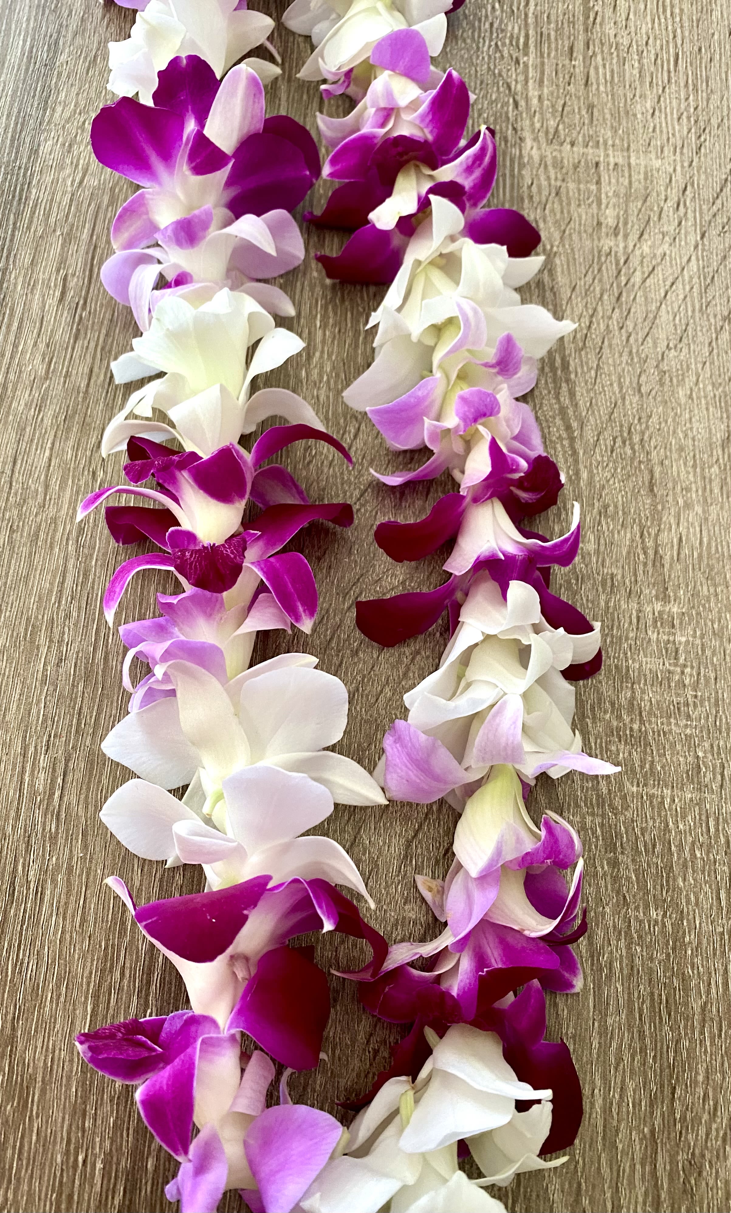 Multi Color Single Orchid Lei  - White, purple &amp; Lavender   Single orchid flower lei 
