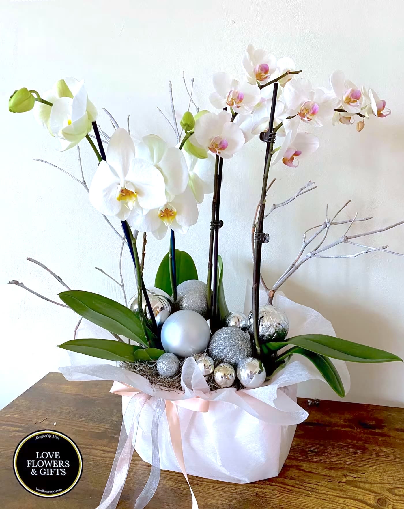 Silver Bells Orchids - Elegant duo of white orchids in a ceramic pot wrapped with satin ribbon in a bed of dashing silver balls and branches for a seasonal style. 