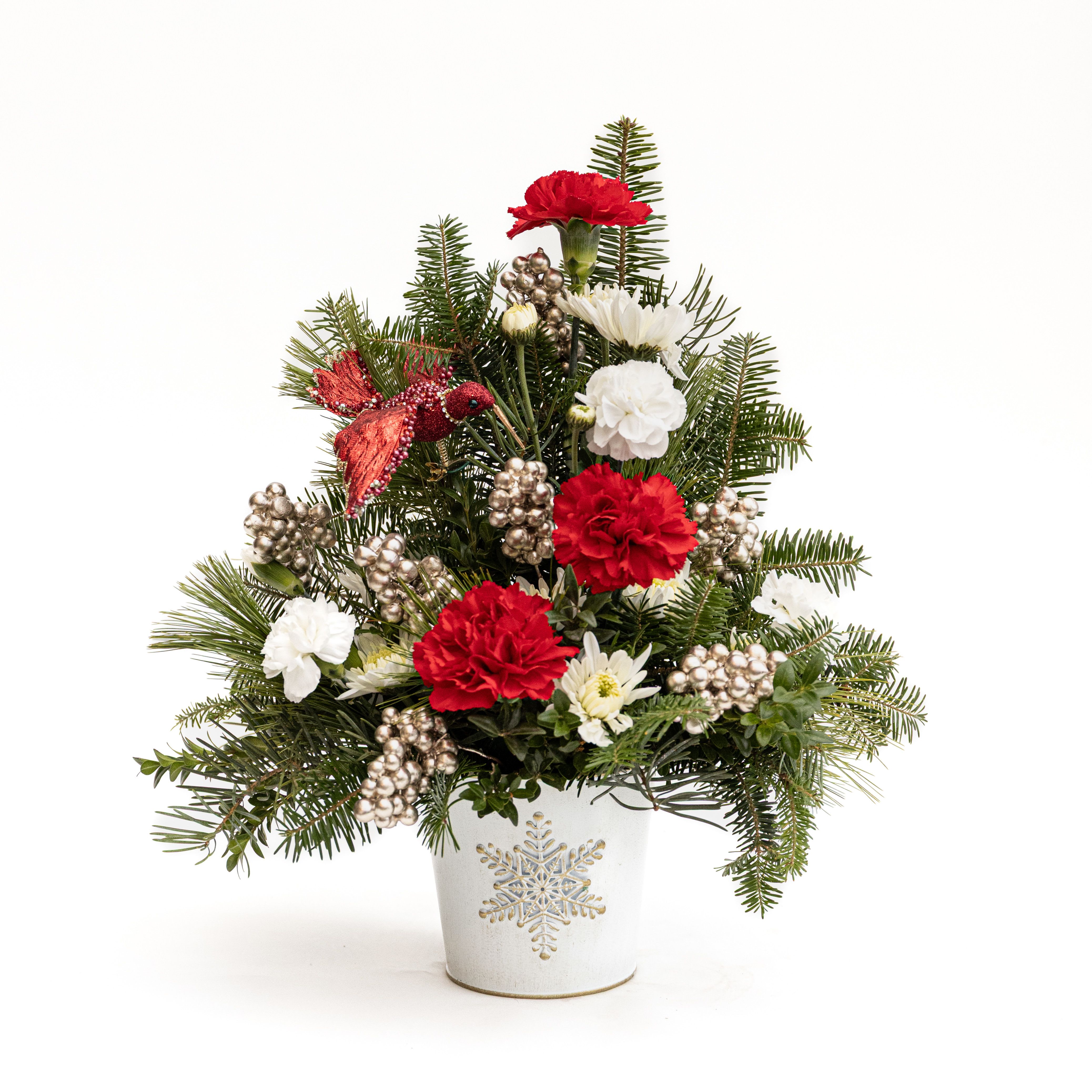 Hummingbird Delight Arrangement - This festive arrangement captures the magic of the holiday season with a cheerful mix of classic Christmas colors and woodland charm. Vibrant red carnations and soft white blooms are nestled among lush evergreen branches, creating a fresh, wintry backdrop. Glittering gold berries add a touch of elegance, while the sparkling red hummingbird ornament brings a whimsical, enchanting accent to the design. Presented in a white container adorned with a delicate snowflake, this arrangement is perfect for brightening any space with warmth, joy, and holiday spirit.