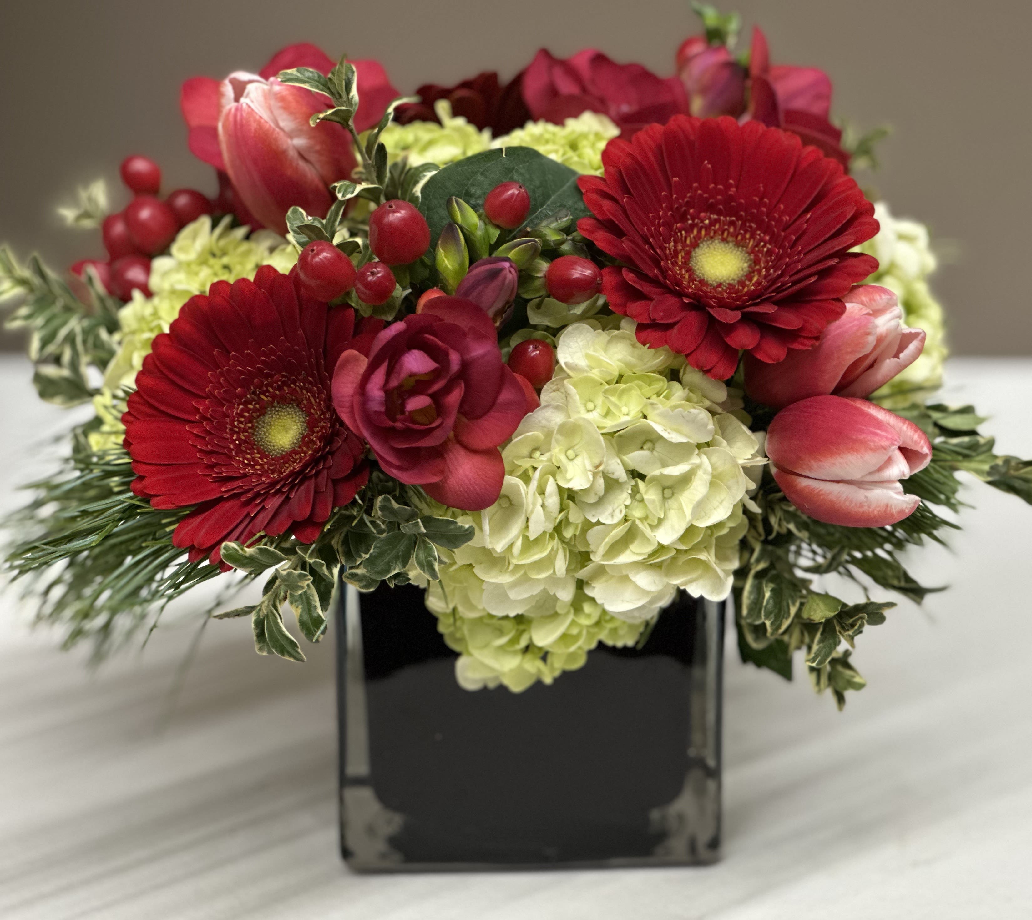 Crimson Cheer - Crimson Cheer is a bold and joyful floral arrangement bursting with holiday color and texture. Vibrant Red Gerbera Daisies take center stage, paired beautifully with Tulips in rosy hues and deep Red blooms that add layers of warmth and depth. Bright Red Berries add festive charm. Soft Hydrangeas provide a fresh backdrop that brightens the design, while evergreen sprigs and variegated foliage bring a subtle winter touch. All of this is artfully arranged in a sleek Black cube vase.  Perfect for holiday gatherings, seasonal gifting, or adding a cheerful pop of color to any room.